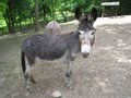 Tierpark Wartenberg