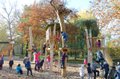 Spielplatz Zauberwald in Magdeburg-Sohlen