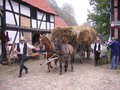 Erntefest im Freilichtmuseum Diesdorf